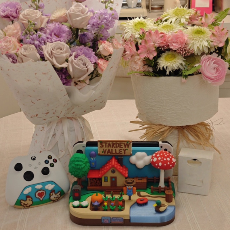 Switch Dock Stardew Valley Çif - Gaming Console With incelemesi ve fiyatı